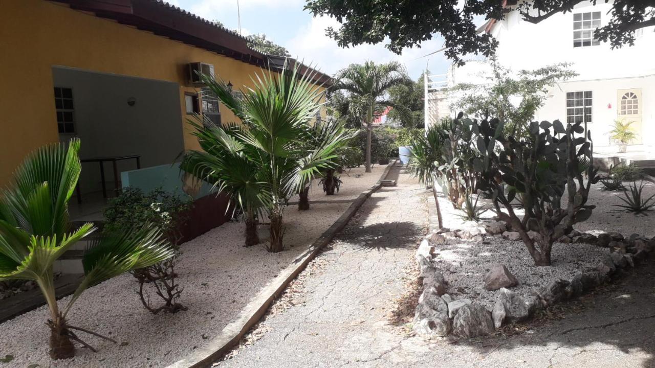 Happy Turtle Apartments Willemstad Extérieur photo