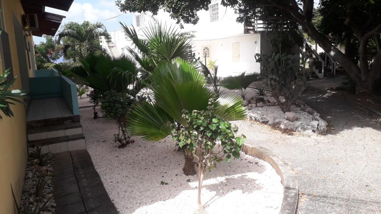Happy Turtle Apartments Willemstad Extérieur photo