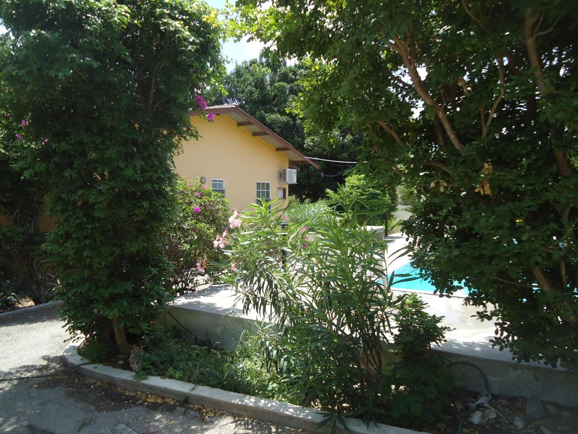 Happy Turtle Apartments Willemstad Extérieur photo