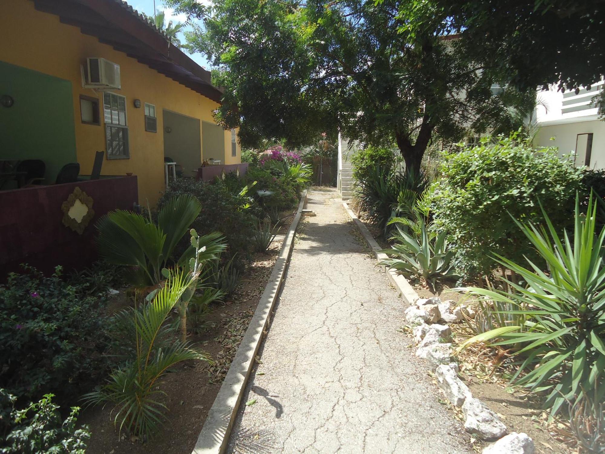 Happy Turtle Apartments Willemstad Extérieur photo