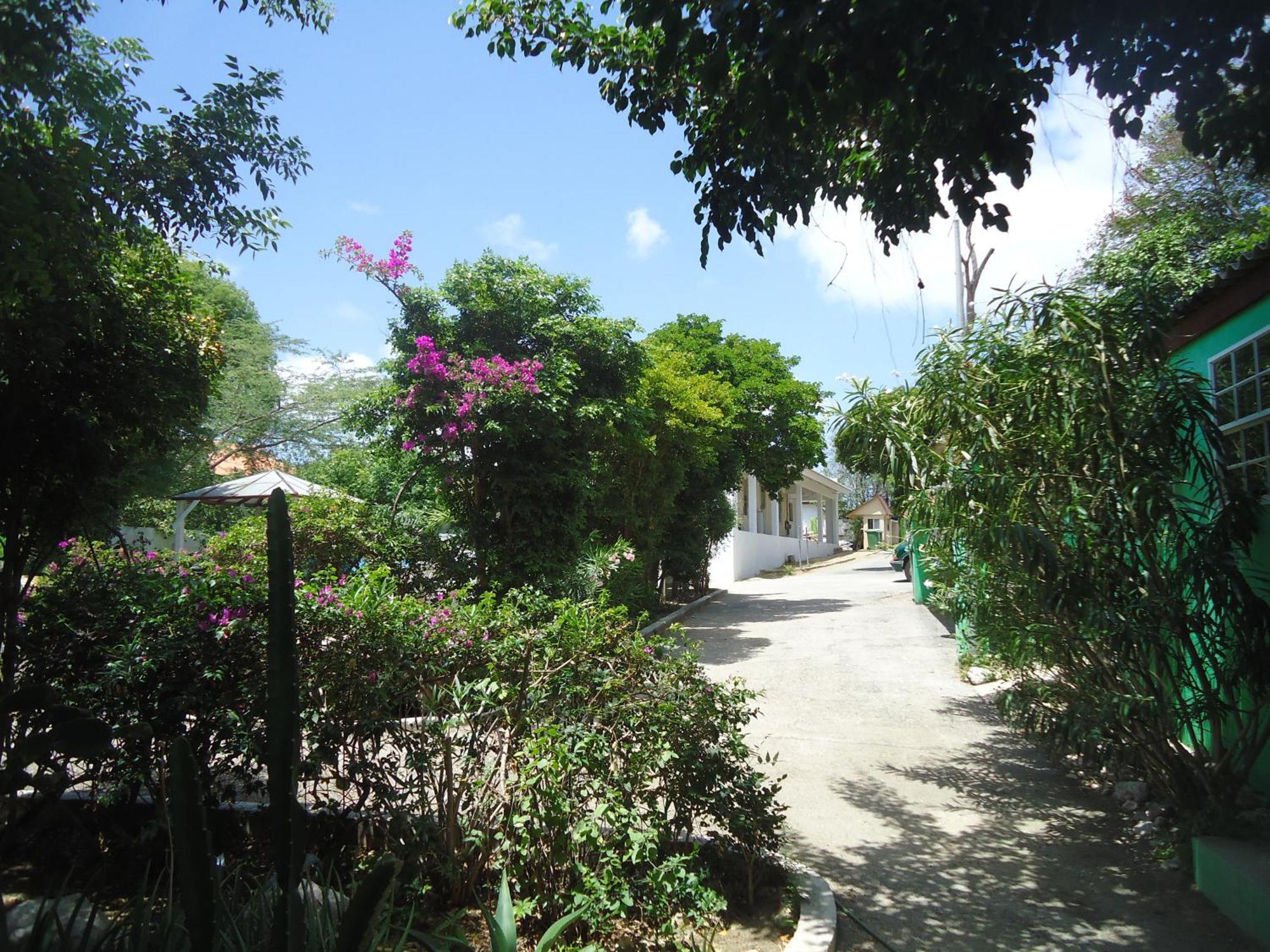 Happy Turtle Apartments Willemstad Extérieur photo