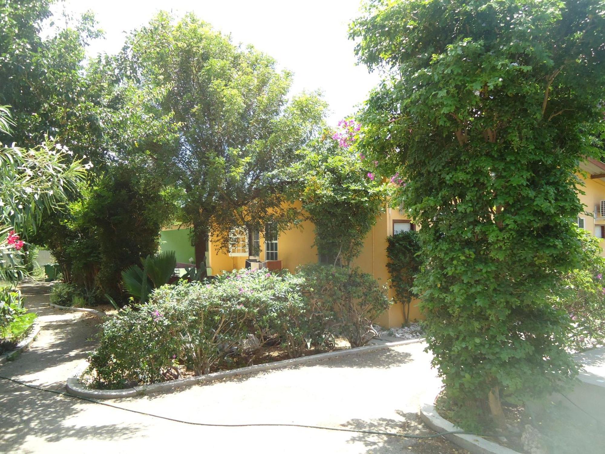 Happy Turtle Apartments Willemstad Extérieur photo