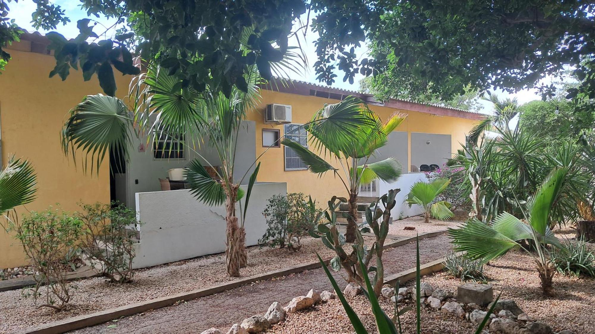 Happy Turtle Apartments Willemstad Extérieur photo