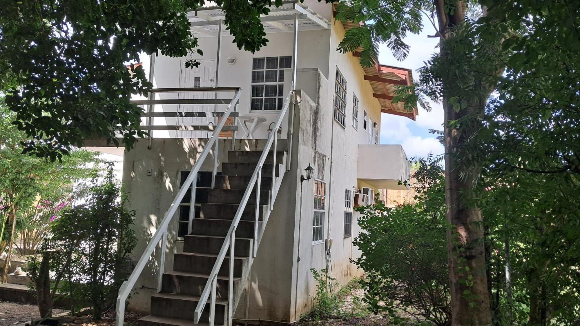 Happy Turtle Apartments Willemstad Extérieur photo