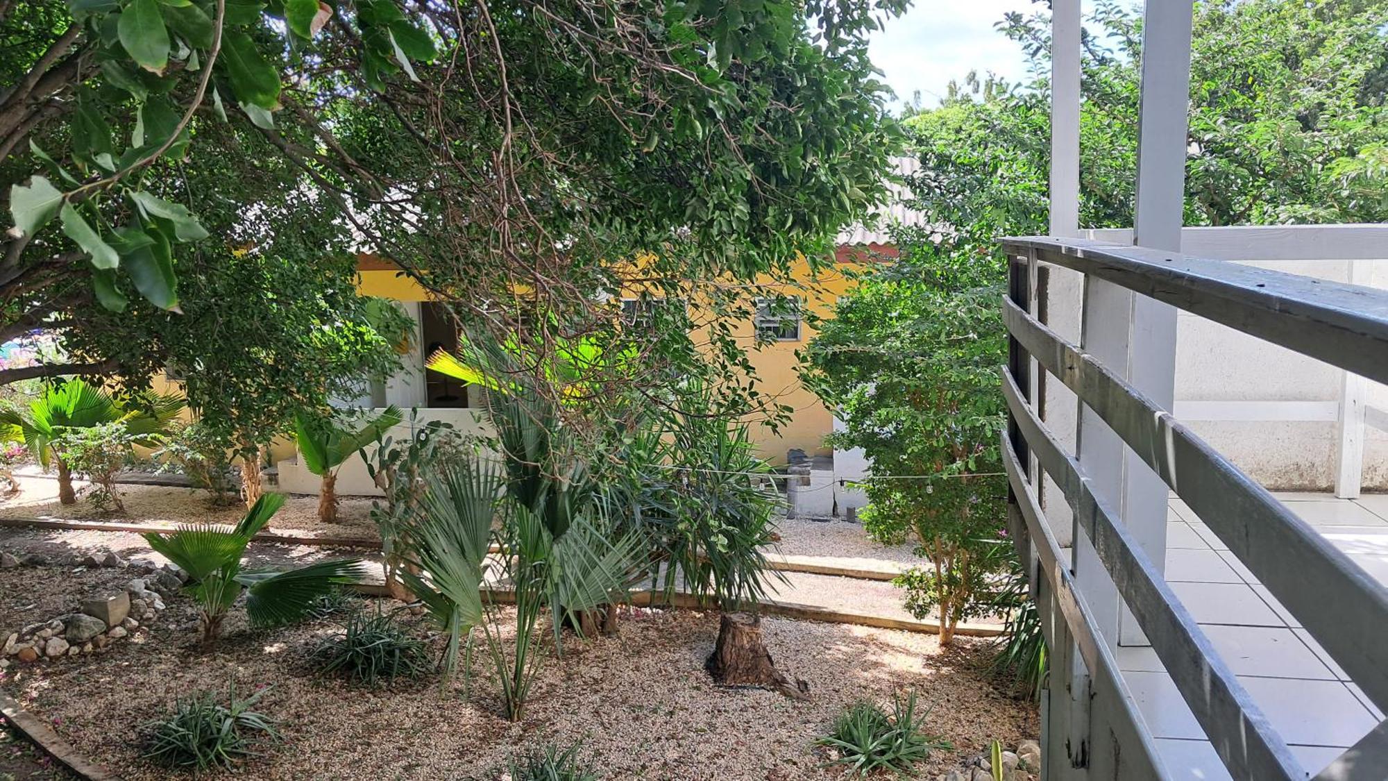 Happy Turtle Apartments Willemstad Extérieur photo